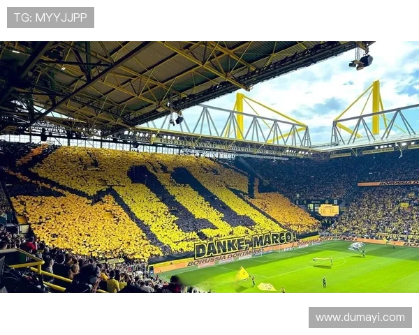 汉诺威96球迷130周年全景Tifo致敬之作